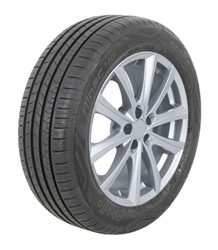 Summer tyre Alnac 4G 205/55R17 95V XL_1