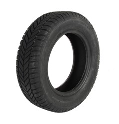 Osobní pneumatika zimní protektorovaná PROFIL 185/65R14 ZOPR 86T INGA+