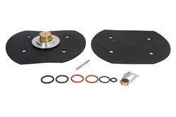 Vaporizer repair kits LPG 8209000012