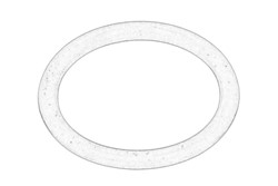Seal Ring, oil drain plug ISU9099206050