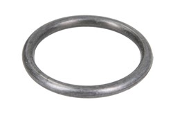 Guminiai žiedai HALDEX 1-97900229