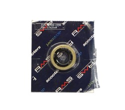 Other gaskets RMS RMS 10 066 1090