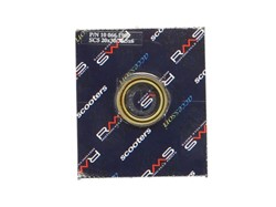 Other gaskets RMS RMS 10 066 1900