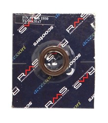 Other gaskets RMS RMS 10 066 1950