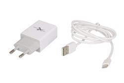 Mrežni punjač (2,4A, izlaz: USB/USB typ-C, bijela)