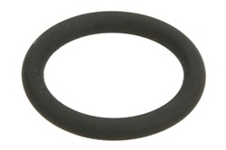 Seal Ring 1 460 C15 003
