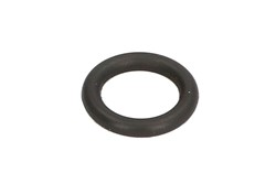Seal Ring, injector F 00R J01 571