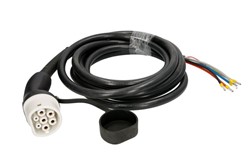 Charging cord plug, electric vehicle JAZ632305B_0
