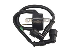 Ignition Coil 18-5166