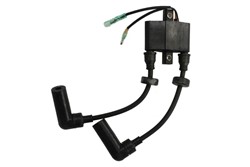 Ignition Coil F20-05000400