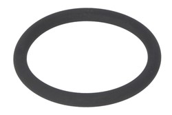 Gasket, coolant pipe 976051