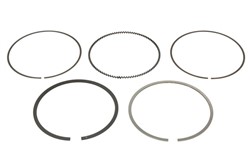 Piston Ring Kit 120035000900
