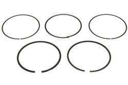 Piston Ring Kit 120035006600