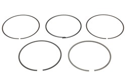 Piston Ring Kit 120037007300