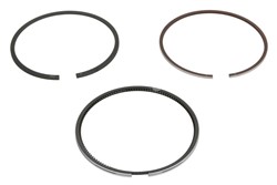 Piston Ring Kit 120050003800