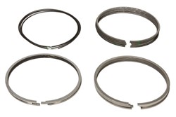Piston Ring Kit 121096011100_0