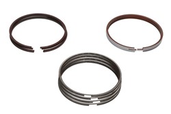 Piston Ring Kit 121096014100
