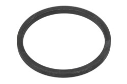 Seal Ring, steering knuckle 000.245804.A-DS_0