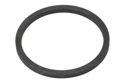 Seal Ring, steering knuckle 000.245804.A-DS_1