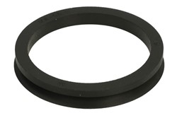 Seal Ring, steering knuckle (leaf spring hanger) 001.39.3169-DS