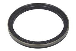 Seal Ring, wheel hub 738.06.069.01-DS