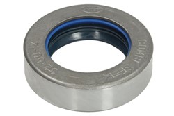 Seal Ring 126880-CR