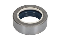 Shaft Seal, differential 139101-CR