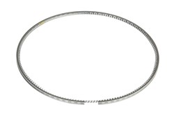 Piston Ring Kit 1723284-IPD