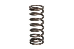 Valve spring IPD PARTS 1906115-IPD