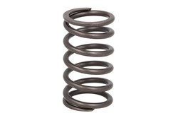 Valve spring IPD PARTS 1906117-IPD