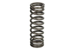 Valve spring IPD PARTS 2113122-IPD
