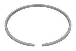 Piston Ring Kit 2663110-IPD