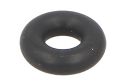 Seal Ring 4G4972-IPD