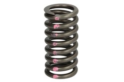 Valve spring IPD PARTS 4N5906-IPD