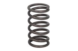 Valve spring IPD PARTS 4W2471-IPD
