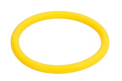 Seal Ring 8M5249-IPD