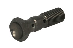 Brake pipe bolt MCH971T M10x1, colour Titanium_0
