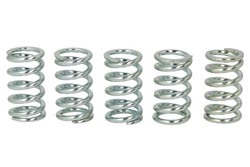 Komplet sprężyn sprzęgła (wzmocnione) pasuje do KAWASAKI 500 (Twister), 500S, 500, 650A, 650C, 1000 ST