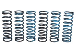 Clutch springs set fits BMW 650GS, 650GS ABS, 650GS ABS (Dak.), 650GS (Dak.), 700 GS, 700 GS, 800 GS, 800 GS ABS, 800 GS (Adventure), 800 GS (Triple Black), 800 GS (Trophy), 800GT, 800R, 800R ABS