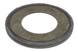 Seal Ring, steering knuckle 904-06700-AN_0