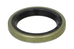 Seal Ring, torsion bar 904-09300-AN