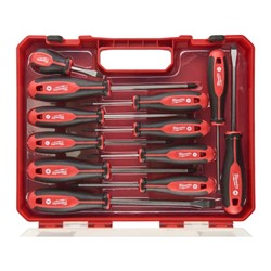 Set of screwdrivers homogenous 12 pcs Plastic box_1