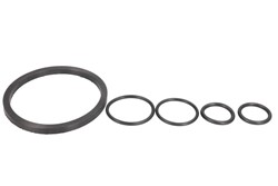 Canister accessories, o-ring set 8155200001 POL POLISPORT_0
