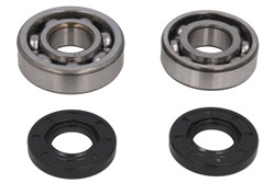 Crankshaft bearings set 24-1117 fits YAMAHA
