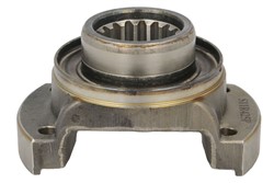 Flange, differential 11036725-SRP