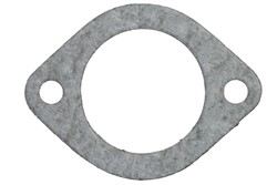 Gasket, thermostat housing VPE3901