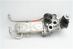 EGR valve RIV1002_0