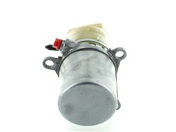Hydraulic Pump, steering 0.054934_1