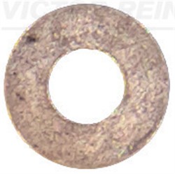 Seal Ring, injector 40-70049-00