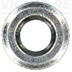 Seal Ring, injector 70-16736-00